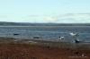 Findhorn July 2021 0062